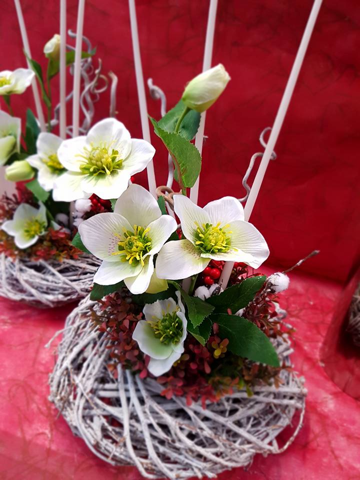 15230716 1794921927386923 1875405584540940177 n